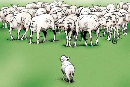 la brebis perdue la brebis perdue